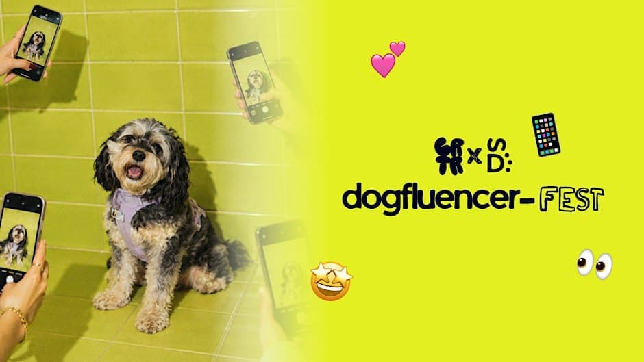 DOGFLUENCER-FEST hosted by Social Dog Dallas × CRTR CLB × 3700M
