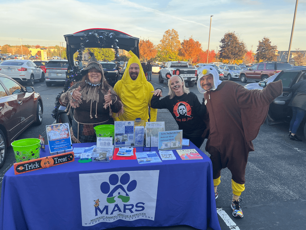 MARS at PINZ Spares & Scares