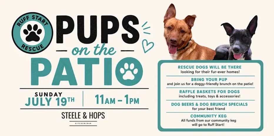 Pups on the Patio at Steele & Hops Kitchen/Bar