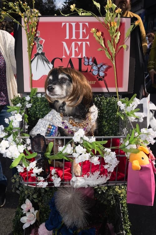 36th Annual Tompkins Square Halloween Dog Parade