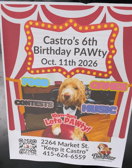 Castro the Barber Shop Dog's 6th Birthday PAWty