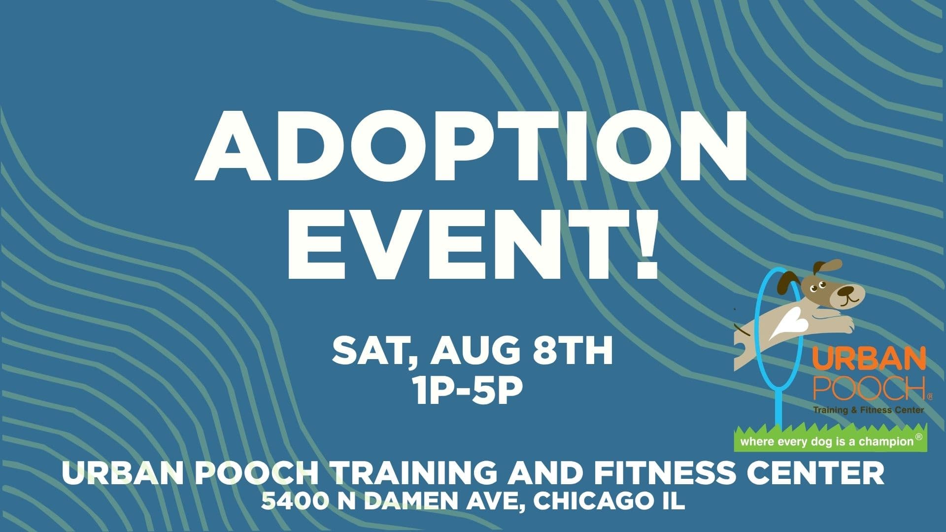 One Tail at a Time Adoption Event @ Urban Pooch