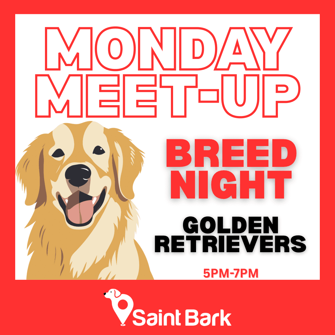 Golden Retriever Night at Saint Bark