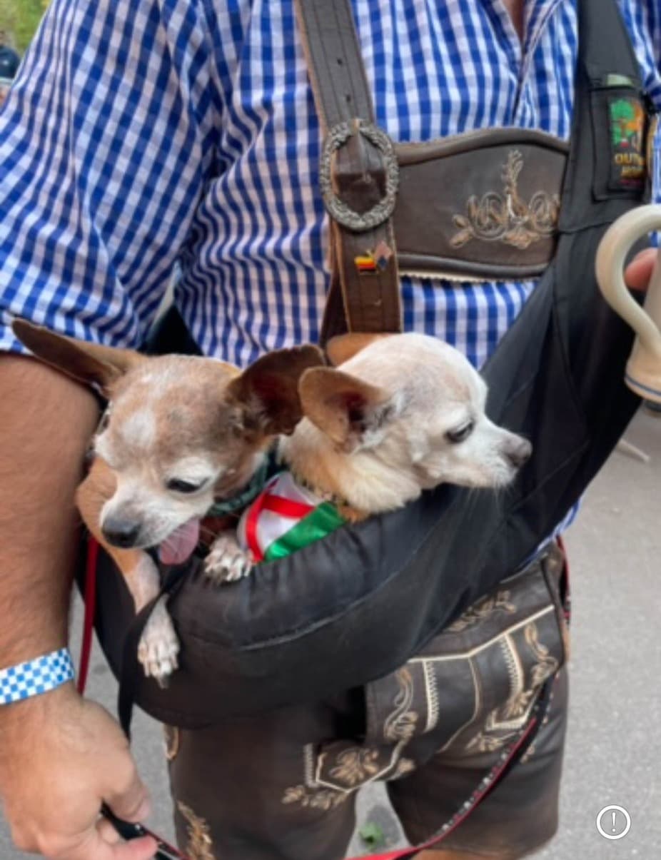 Dogtoberfest at Saint Paul Brewing