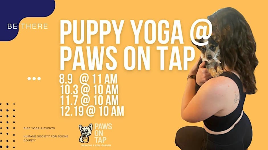 Puppy Yoga at Paws on Tap – Downward Dog & Adoptable Puppies