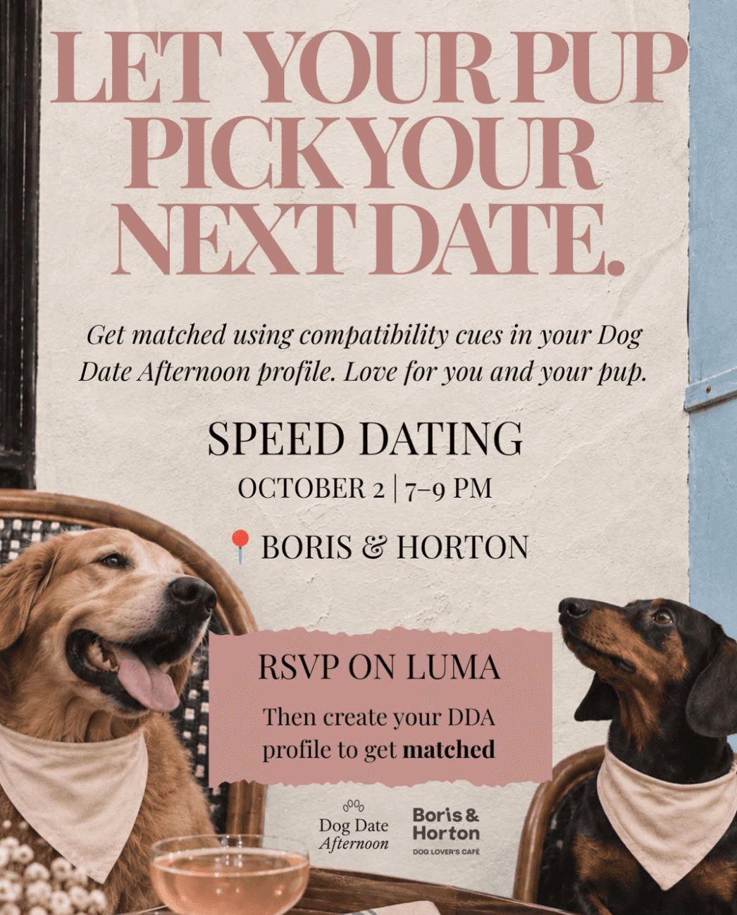 Dog-Friendly Speed Dating at Boris & Horton