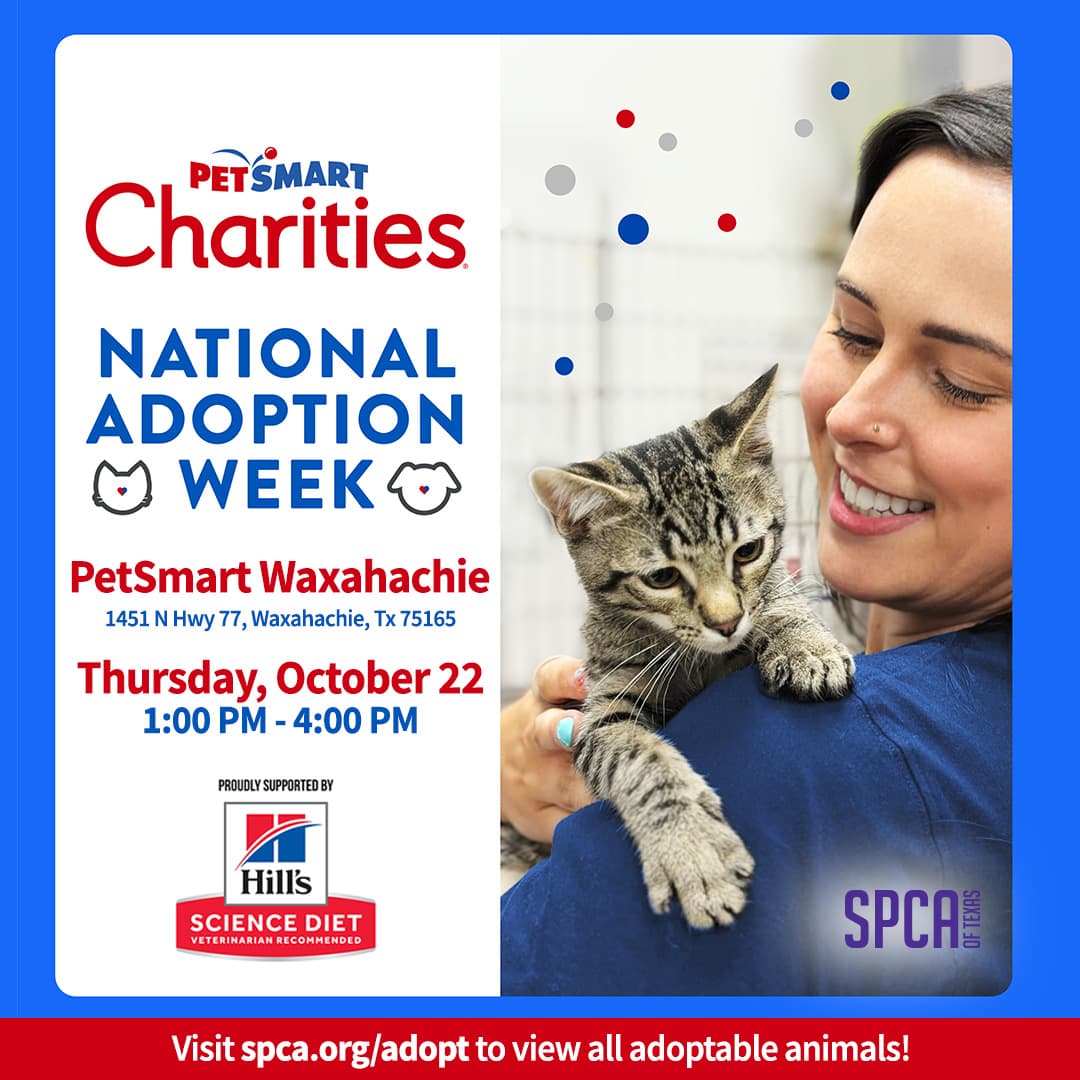 Mobile Adoptions @ PetSmart Waxahachie