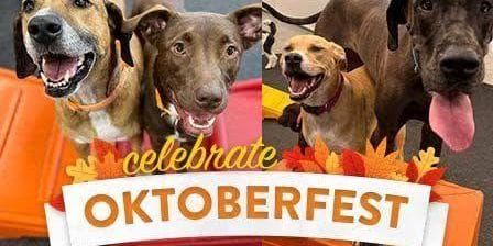 Barktober Beer, Wine & Libation Festival