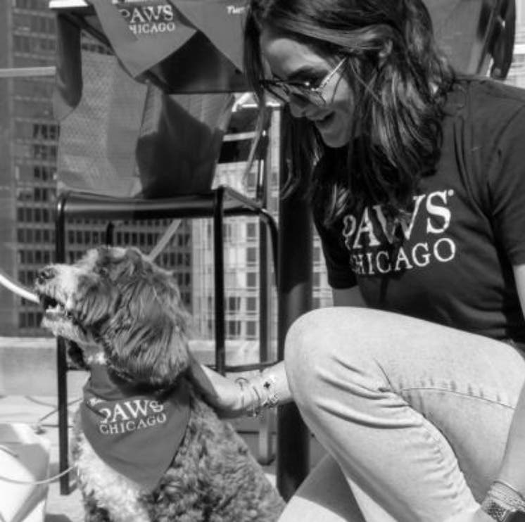 Fourth Annual LH Wooftop Pawty