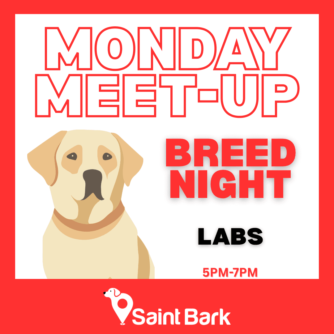 Breed Night: Labs at Saint Bark