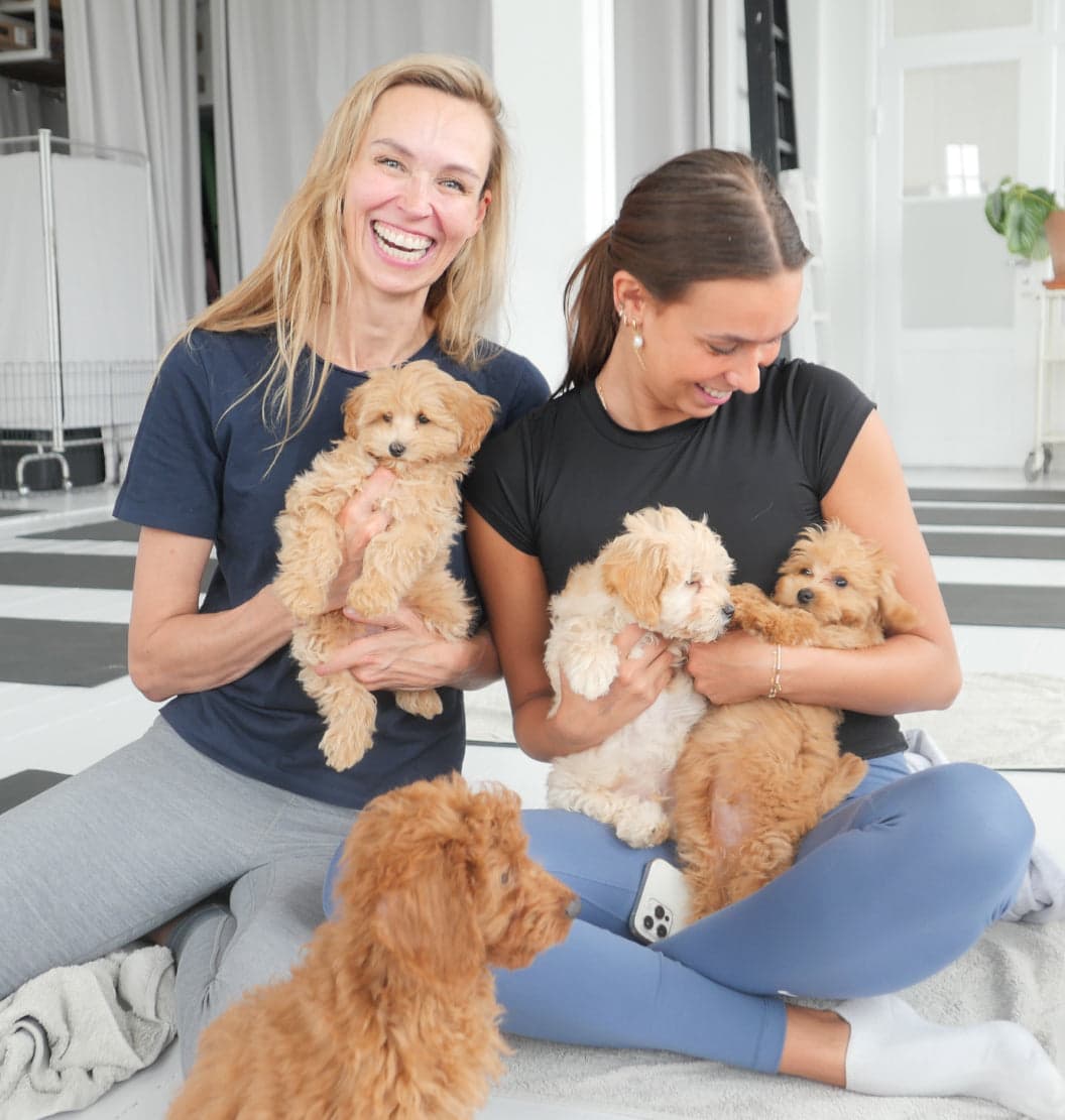 Puppy Yoga at Puppies & Yoga Portland