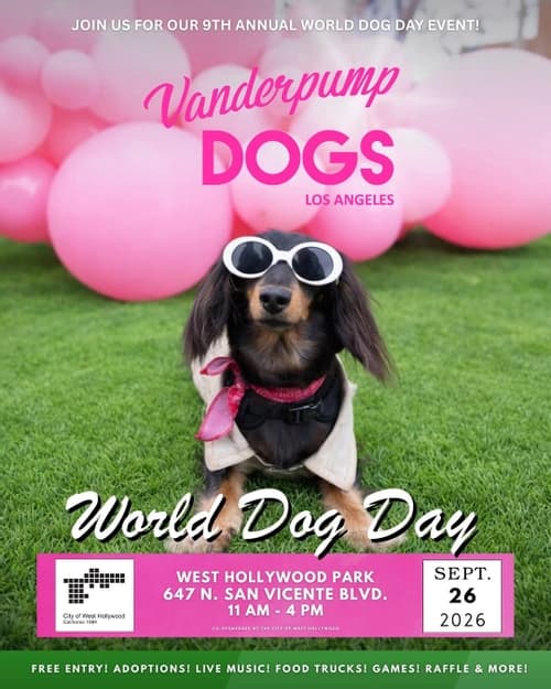 9th Annual World Dog Day