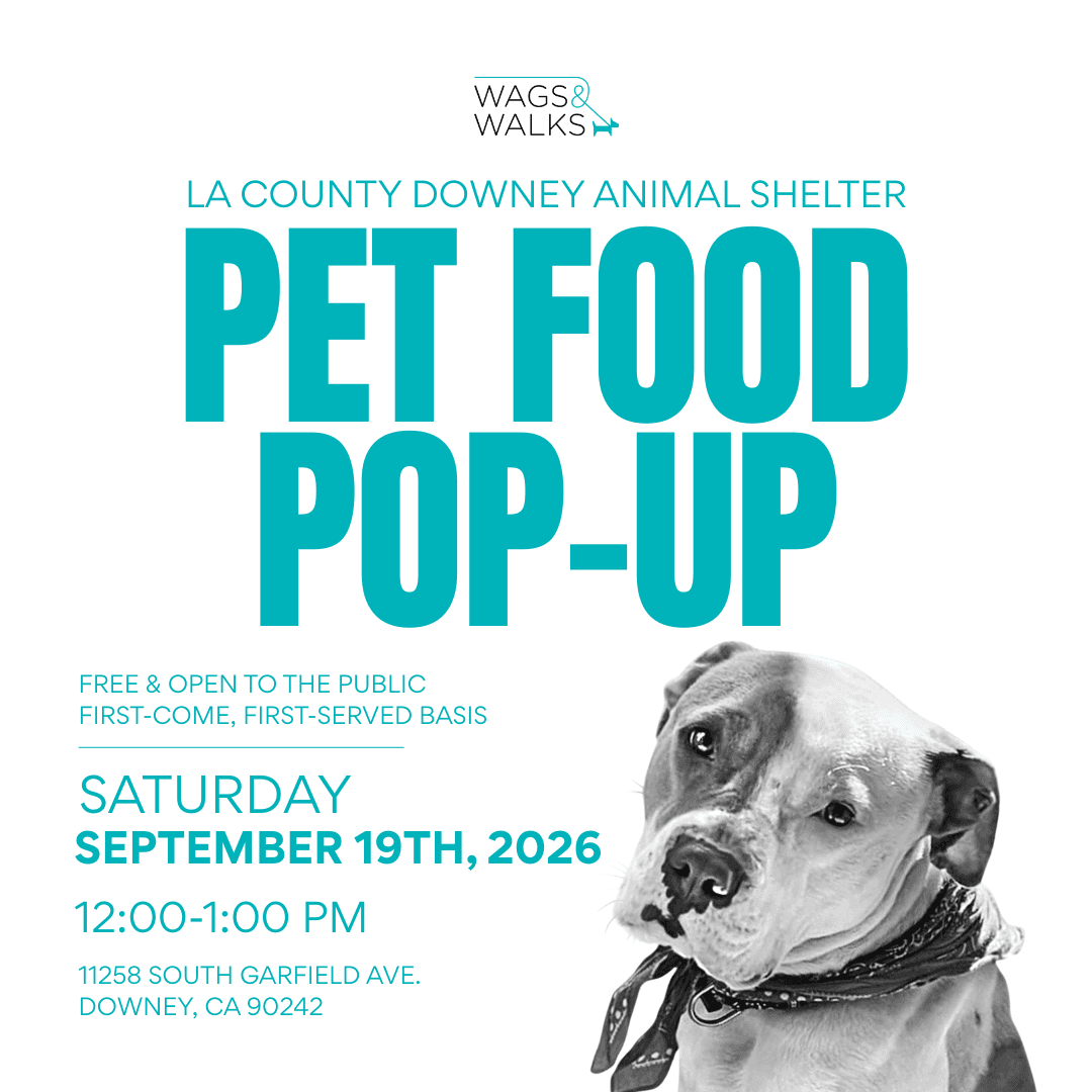 Wags For Good: Pet Food Pop-Up