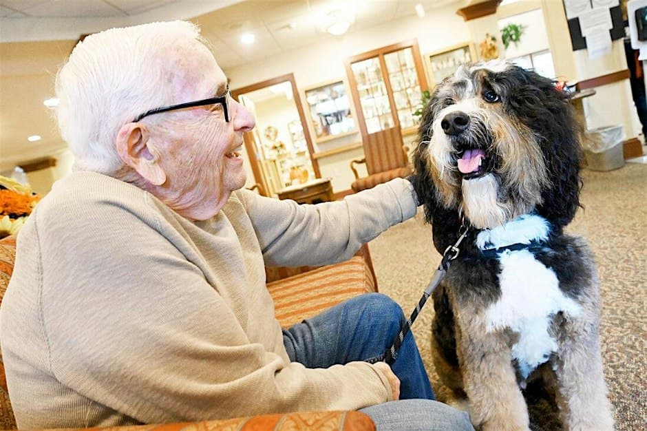 Pet Therapy at Lakeview Nursing & Rehab