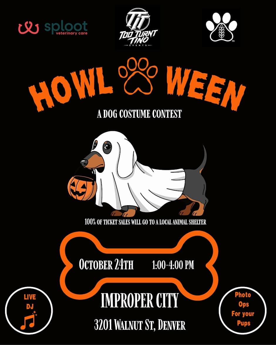 Howl-O-Ween Dog Costume Contest at Improper City