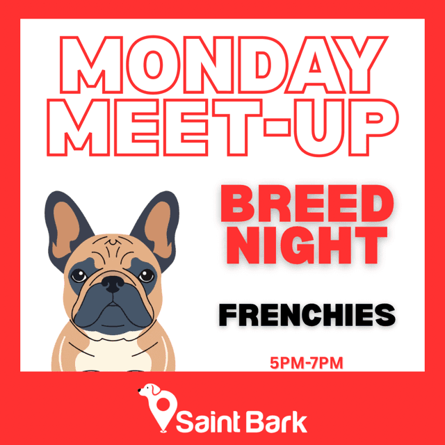 Frenchie Night at Saint Bark