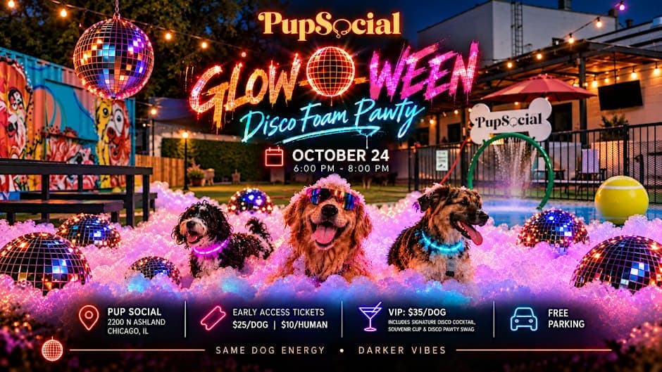 Glow-o-ween Disco Foam Pawty