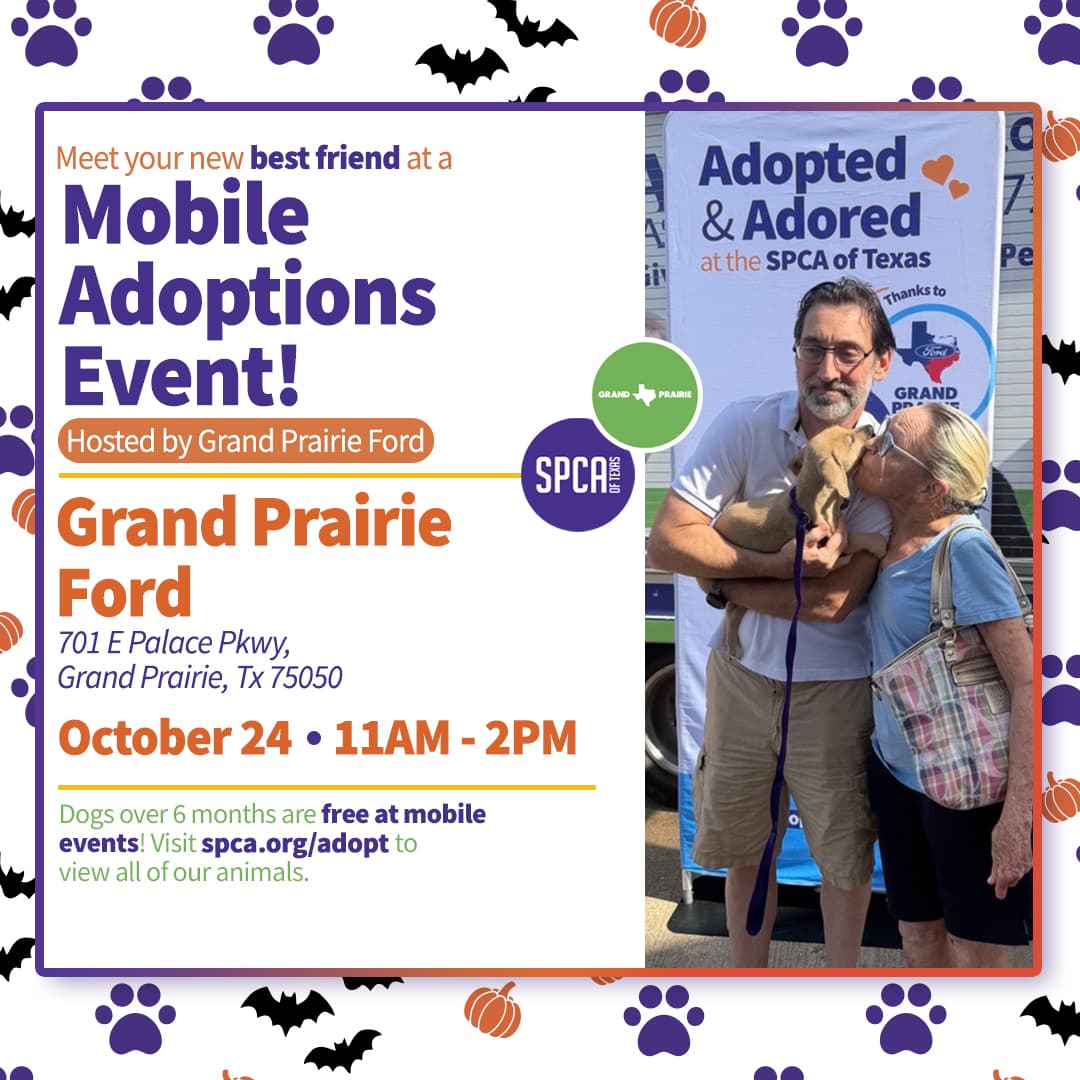 Mobile Adoptions @ Grand Prairie Ford