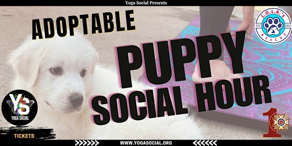 Adoptable Puppy Social Hour