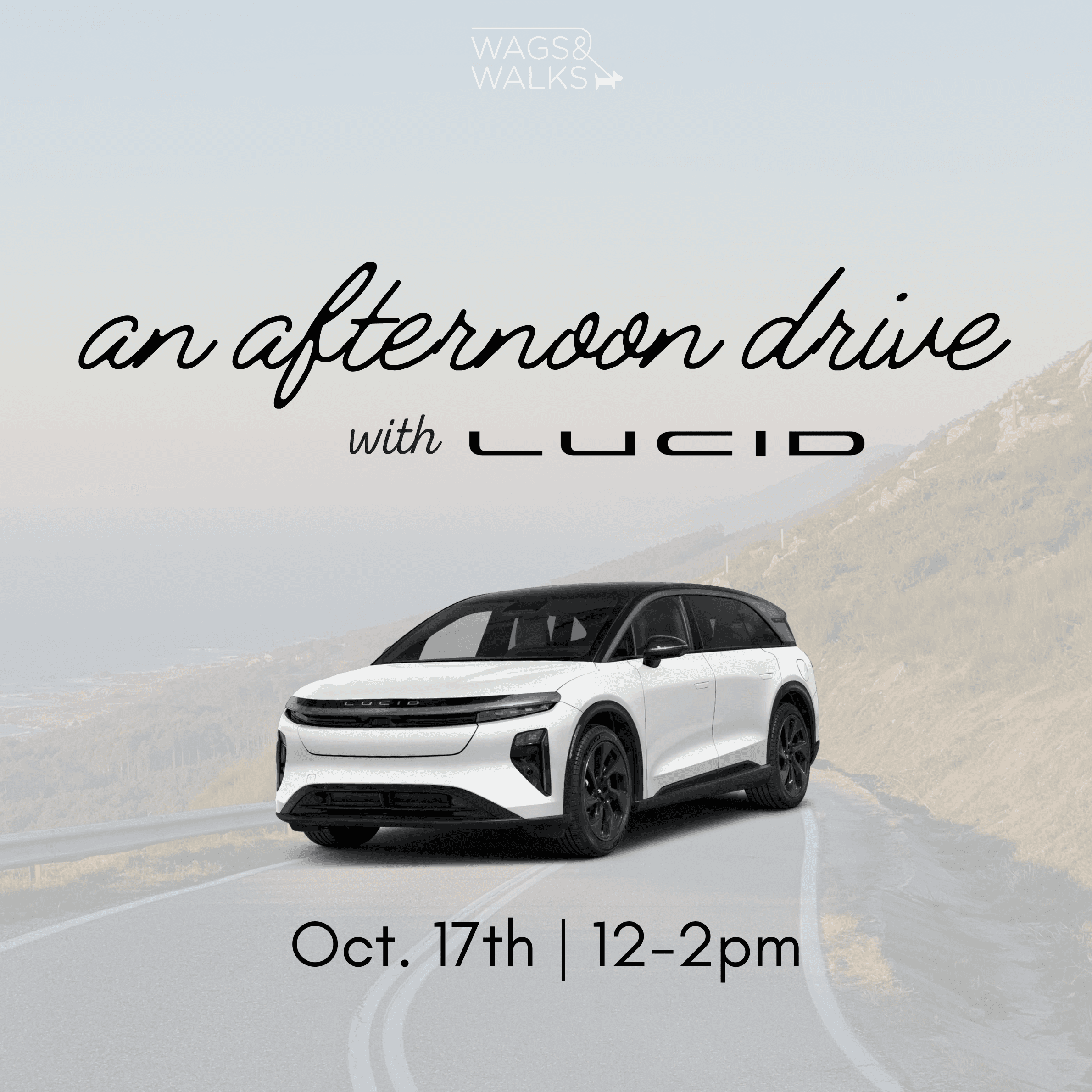 An Afternoon Drive with Lucid x Wags & Walks