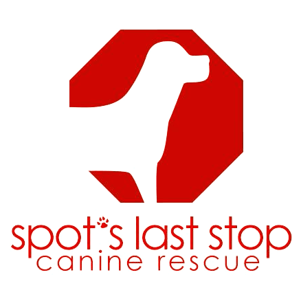 Spot's Last Stop Dog Adoption Event