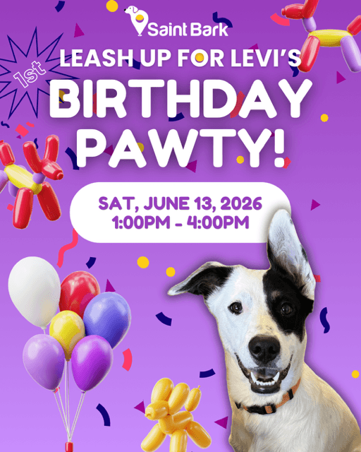 Levi's 1st Birthday at Saint Bark