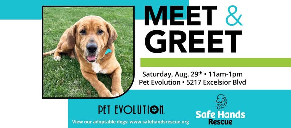 Safe Hands Rescue Meet & Greet at Pet Evolution