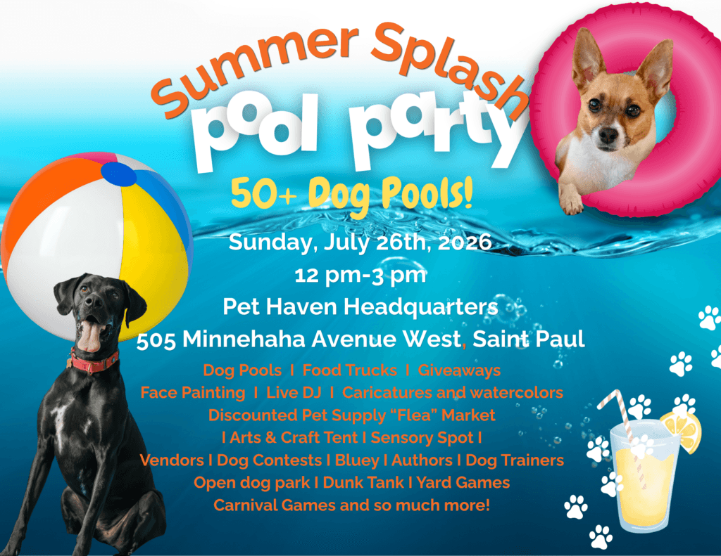 Summer Splash – The Dog Event of the Year!