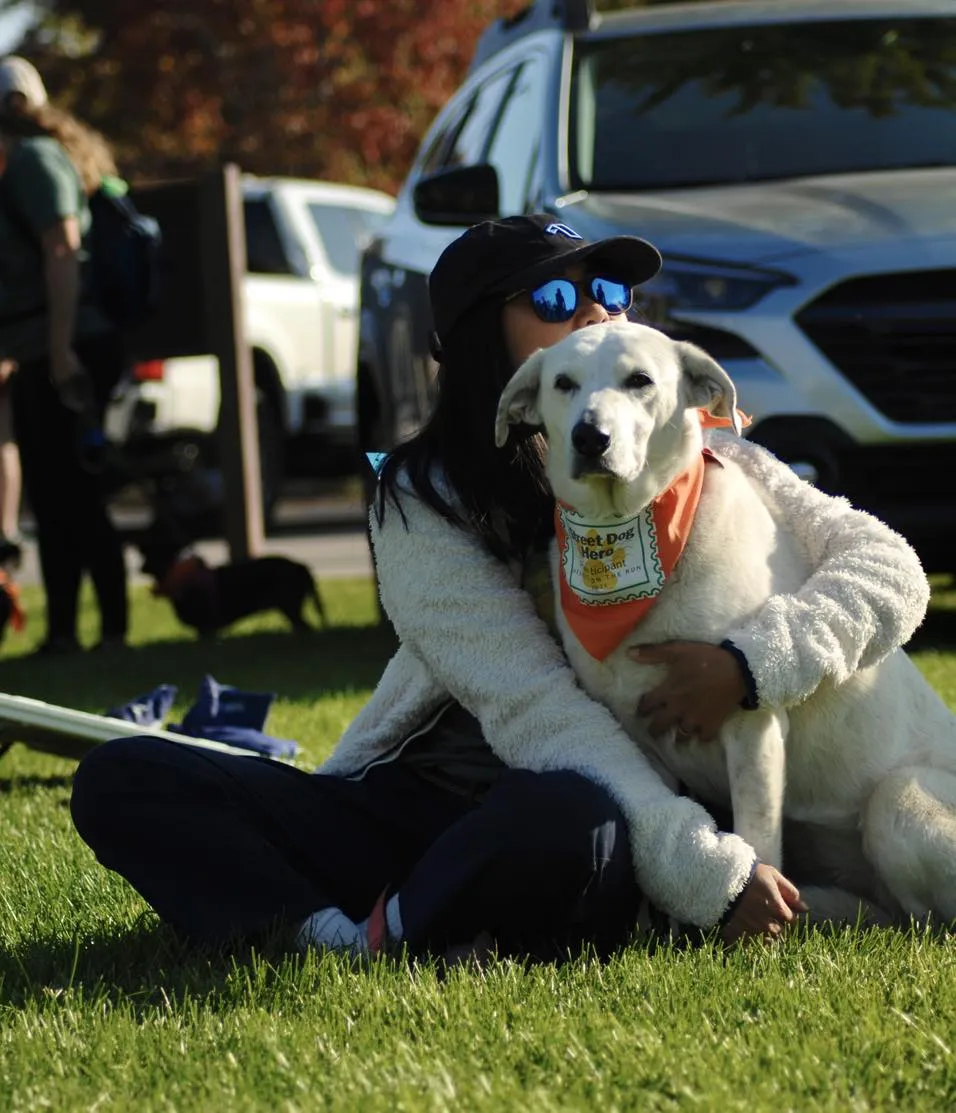 Street Dog Hero Heroes on the Run Dog-Friendly 5K