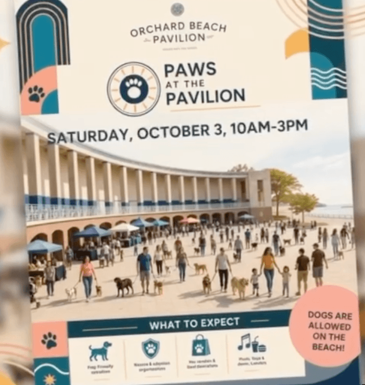 Paws at the Pavilion