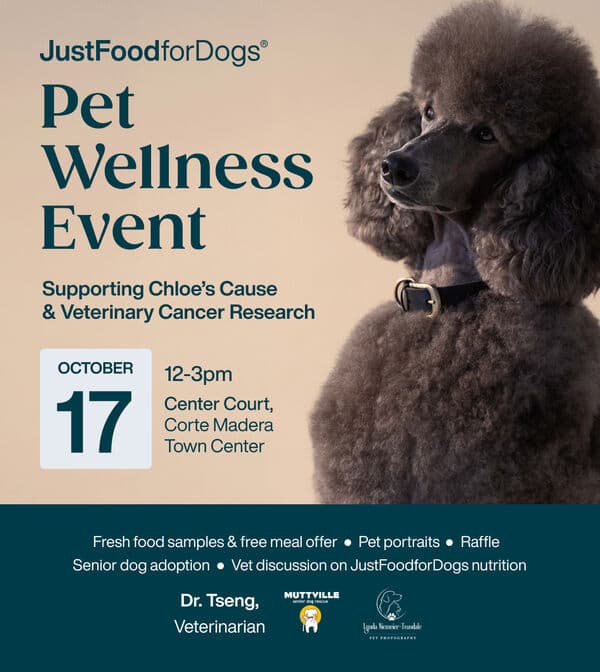 JustFoodforDogs Pet Wellness Event with Muttville