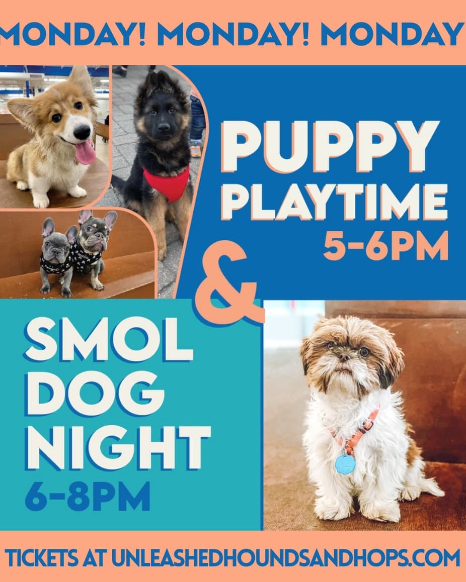 Puppy Playtime & Smol Dog Night at Unleashed Hounds and Hops