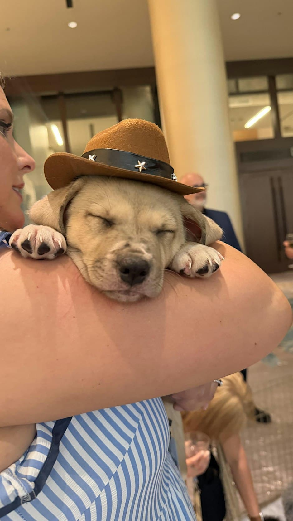 Rescue Puppy Yoga Halloween - Pet Wants Olde Town Arvada