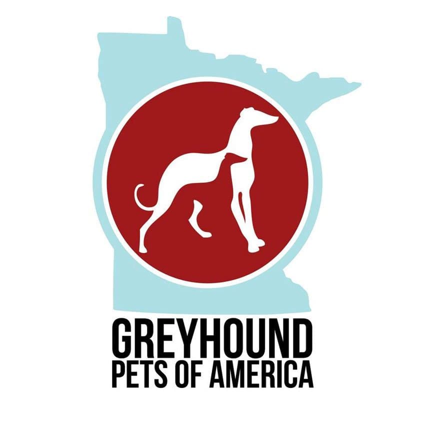 Greyhound Pets of America Adoption Event
