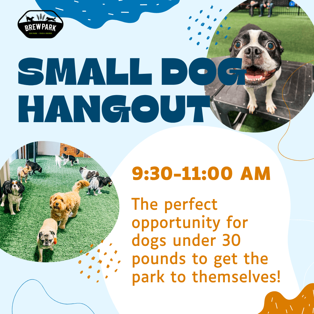 Small Dog Hangout at Brew Park Plymouth – Sep 5