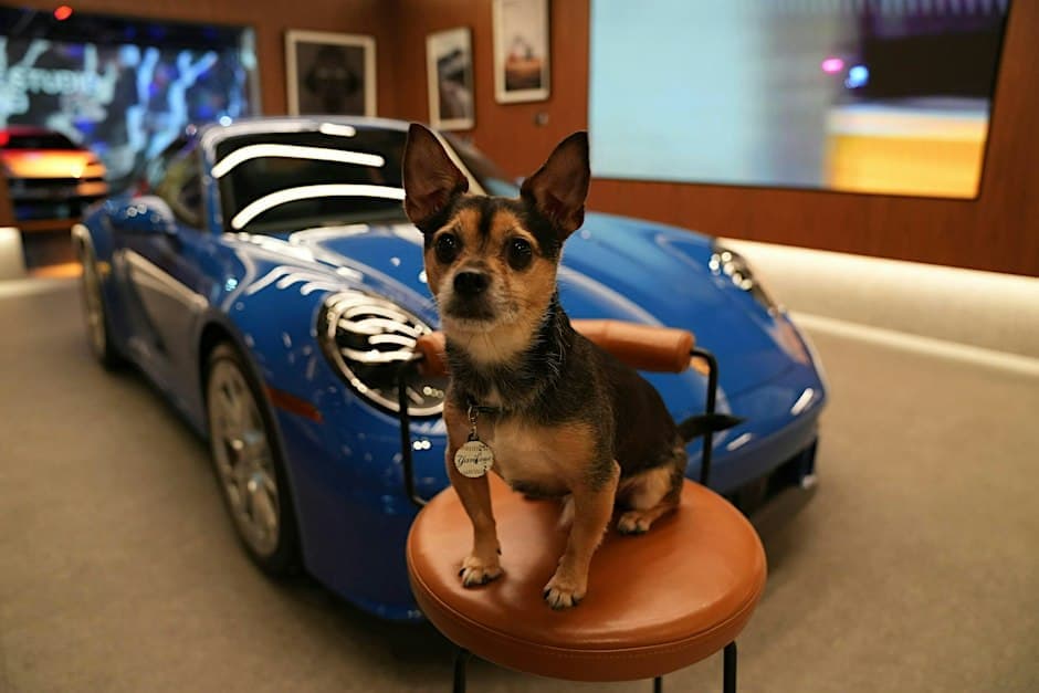 Porsche Pup Day