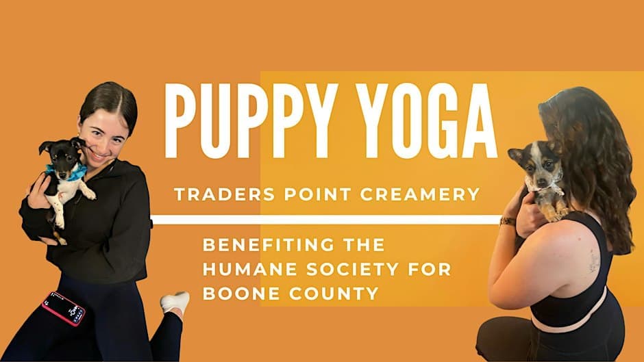 Puppy Yoga at Traders Point Creamery – Downward Dog & Adoptable Puppies