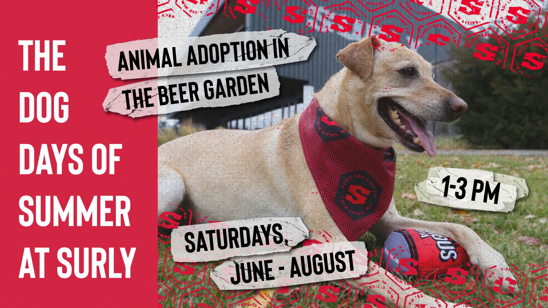 Dog Days of Summer 2026 at Surly Brewing