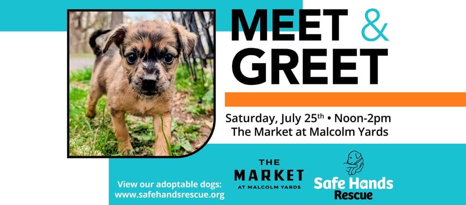 Safe Hands Rescue Meet & Greet at The Market at Malcolm Yards