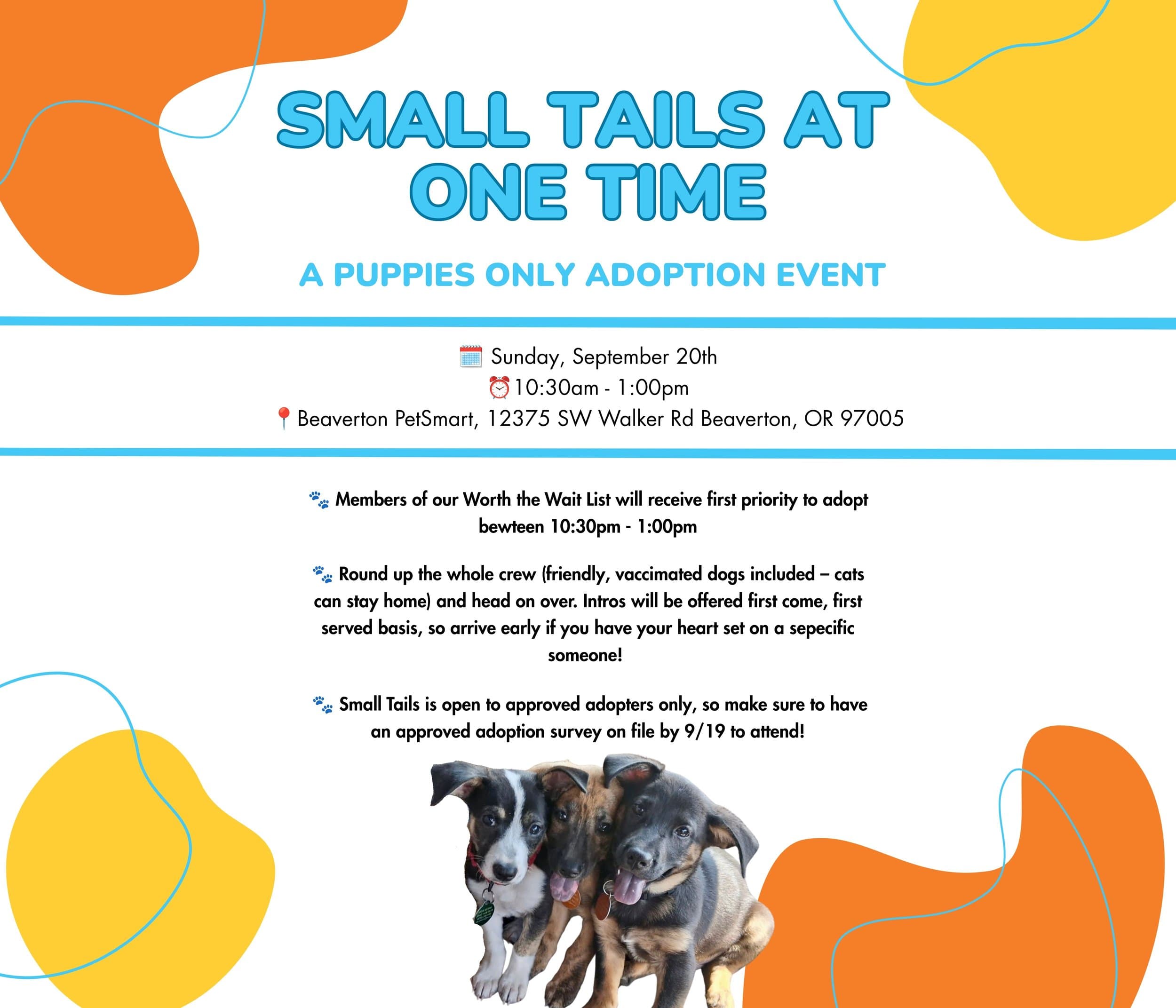 Small Tails Puppy Adoption Event