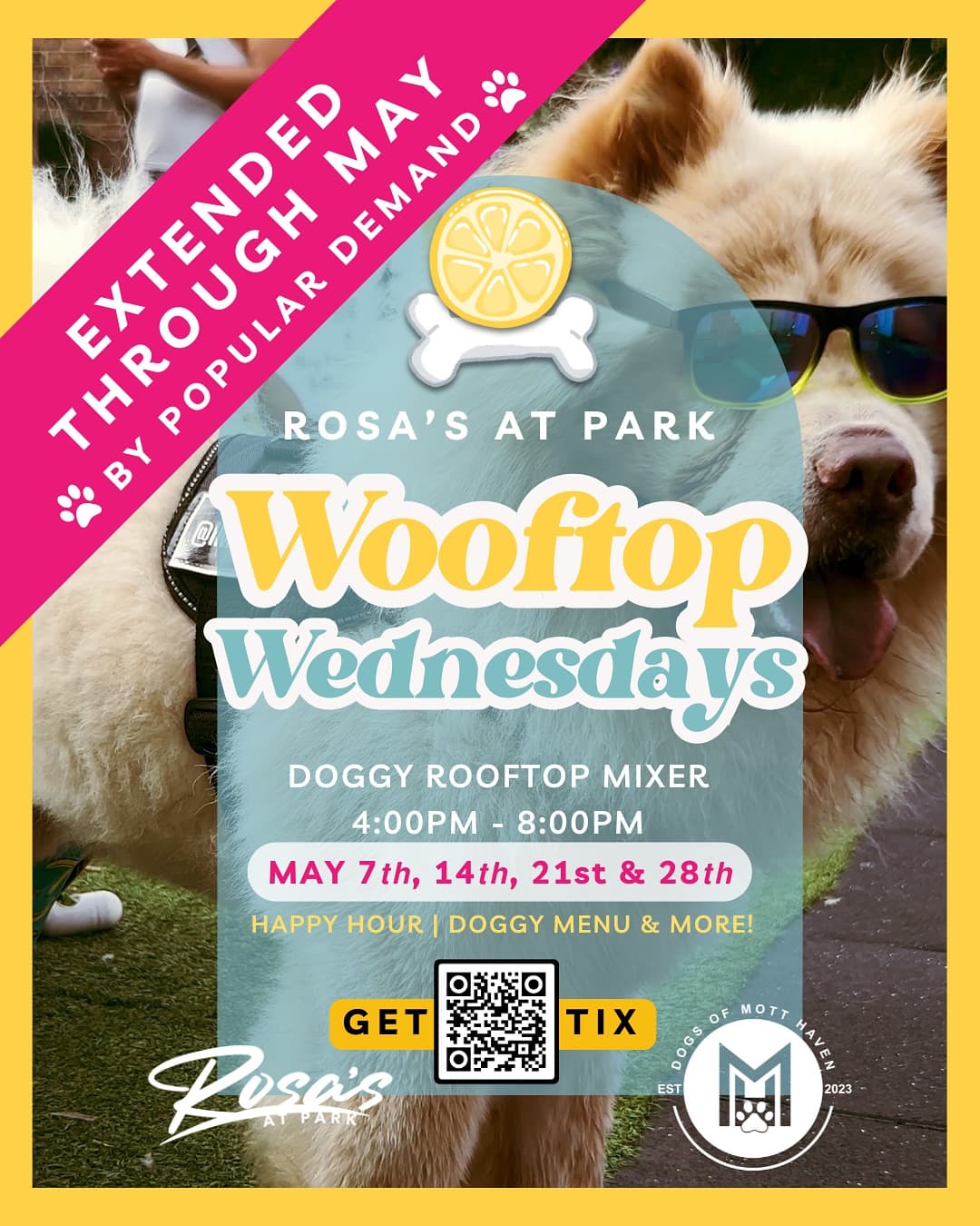Wooftop Wednesdays