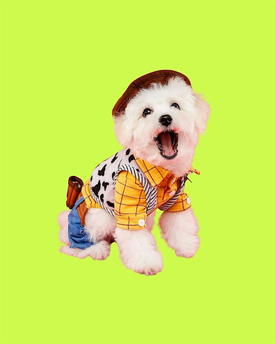 Yappy Hour: Dog Costume Contest at Aloft Minneapolis