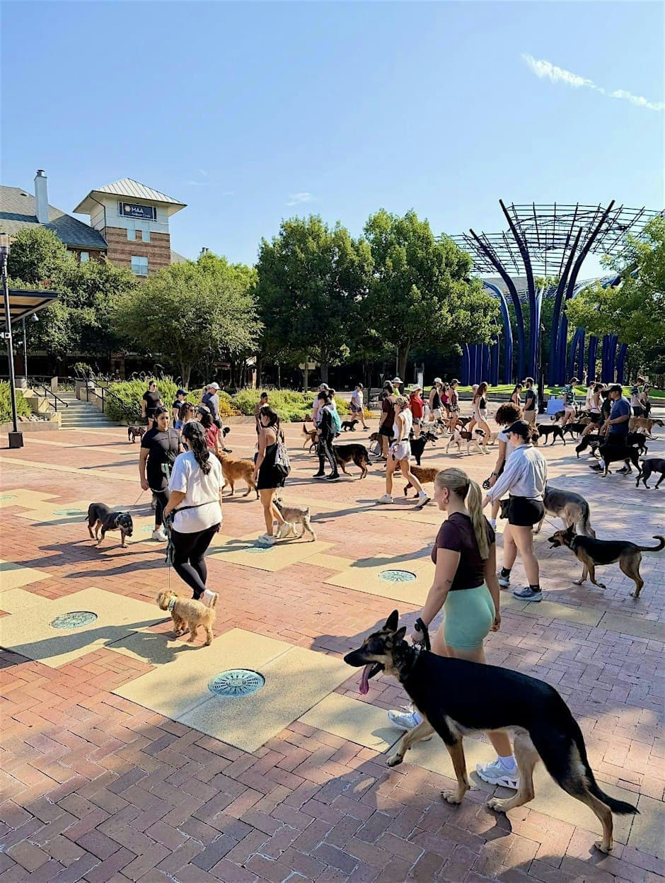 VIP Dog Group Training & Social