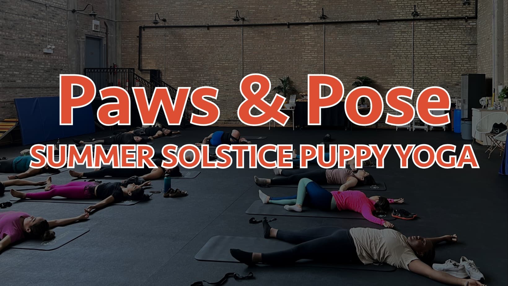 Paws & Pose Puppy Yoga