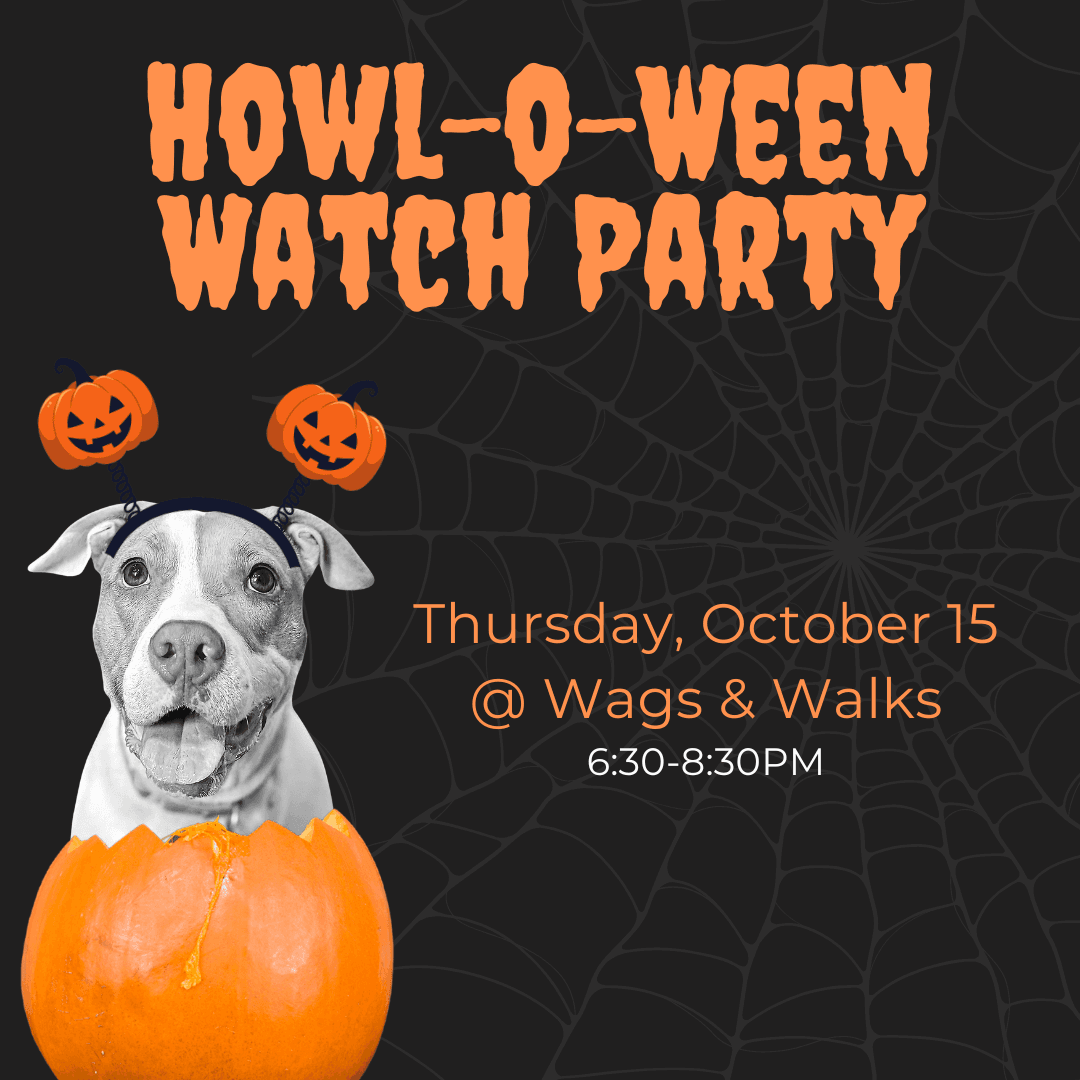 Howl-O-Ween Watch Party at Wags & Walks