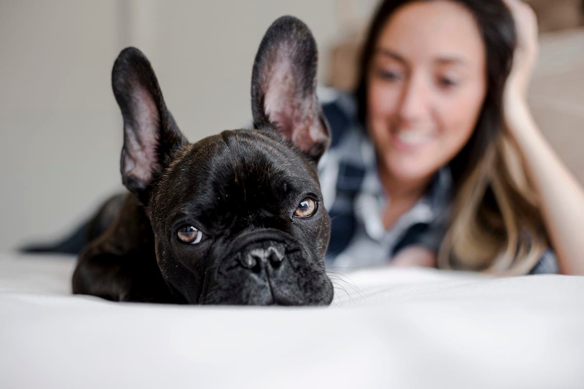 8 Separation Anxiety Products for When You’re “Never” Coming Home
