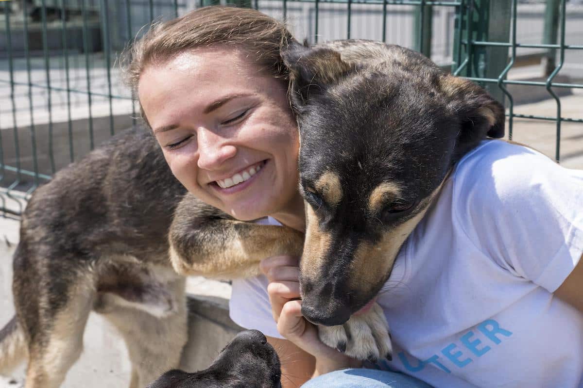 How to Ace the Dog Adoption Application
