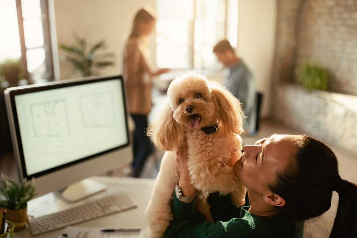 Yes, Your Insurance Company CAN Discriminate Against Your Dog. Here’s What You Can Do.