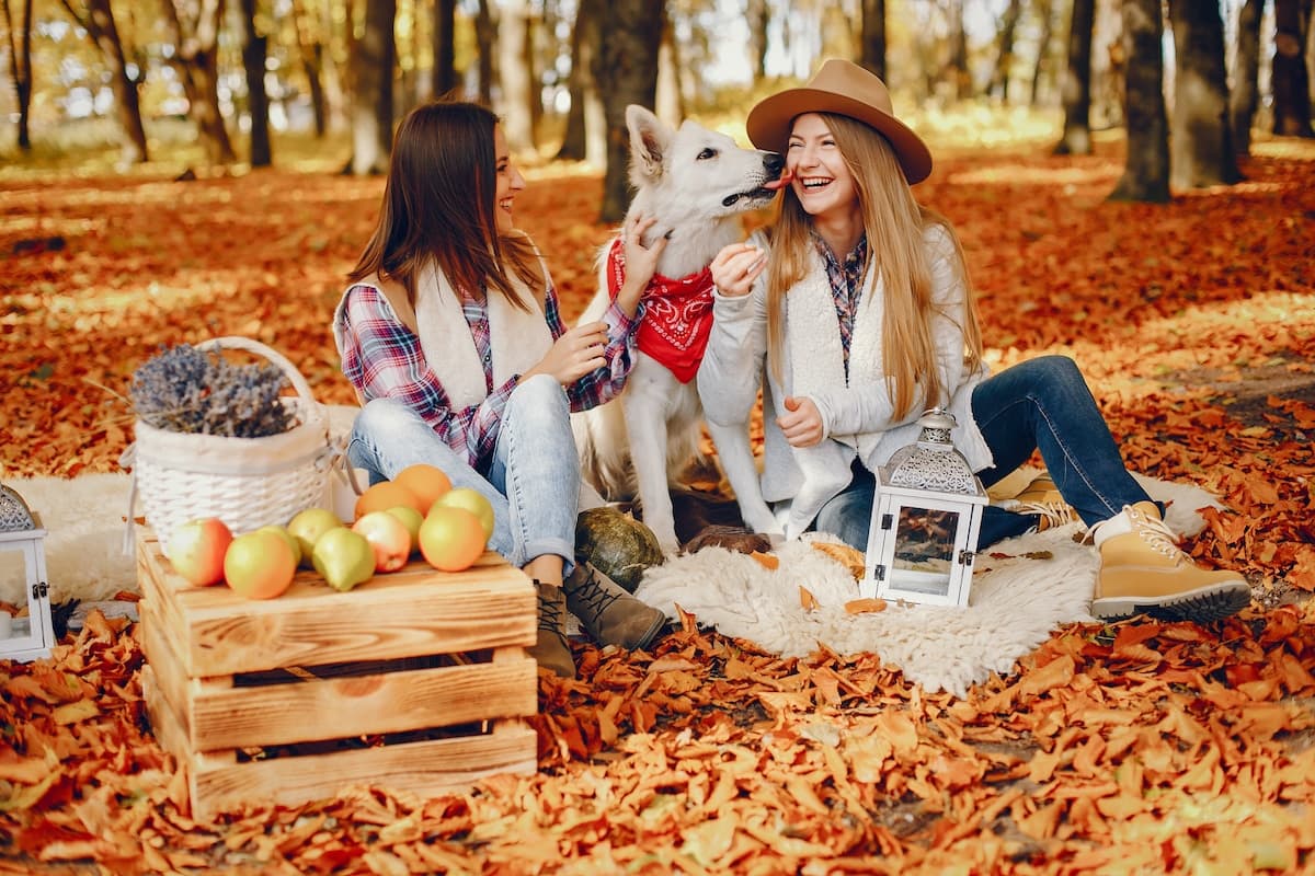 Dog-Friendly Washington Apple Picking Spots