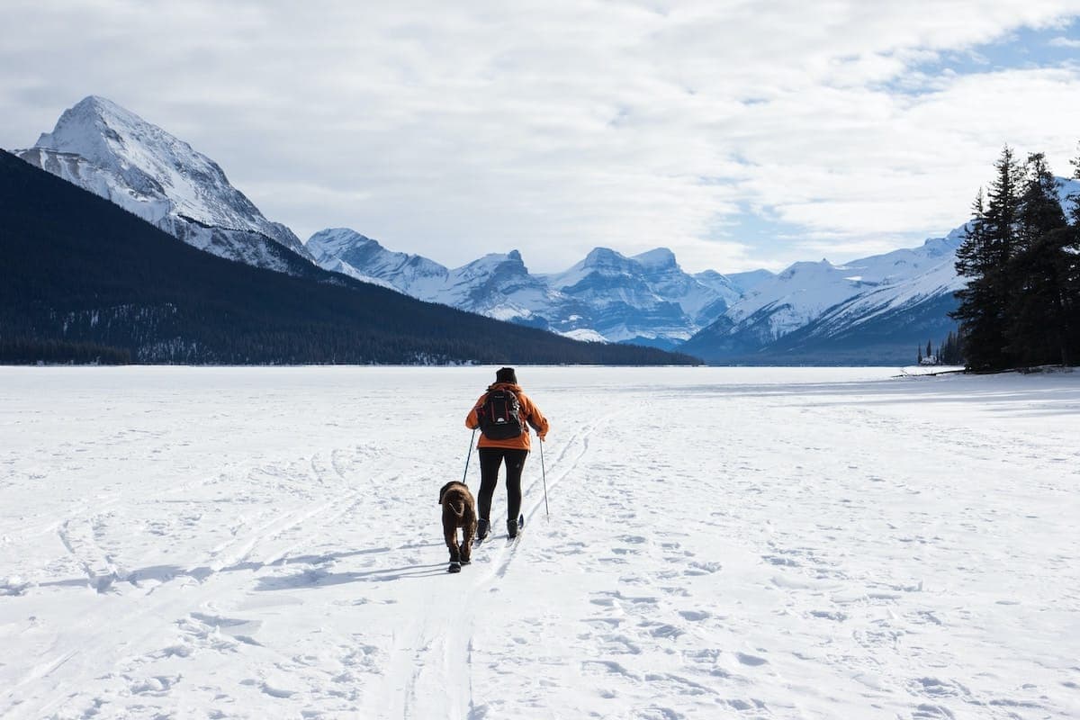 5 Twin Cities Winter Hiking Spots for Your Snow Pup